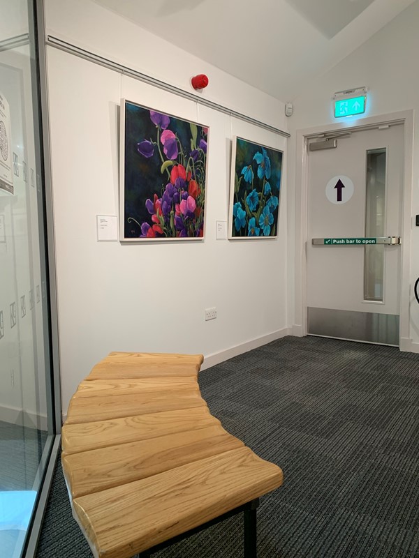 Picture of a seat and two paintings by a door marked push bar to open
