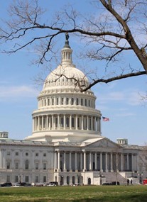 United States Capitol