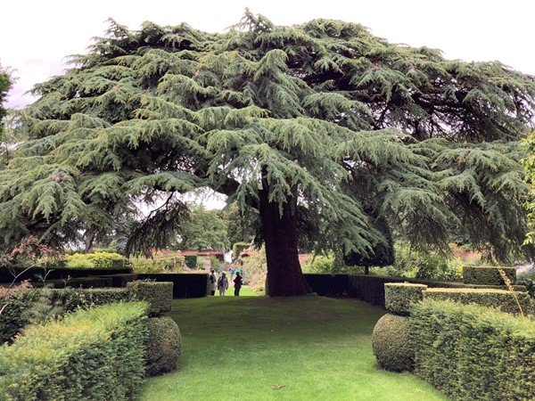 National Trust - Hidcote