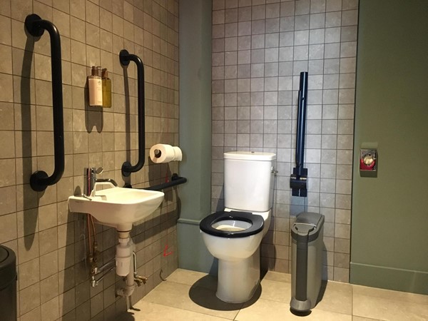 Image of the accessible toilet.
