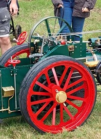 Ellingham Show