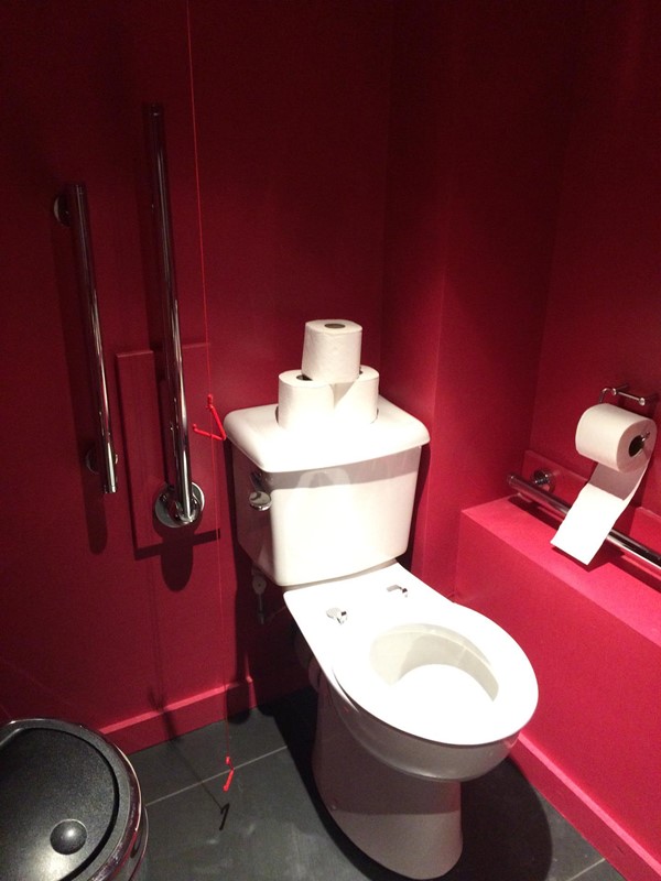 Photo of the accessible toilet.