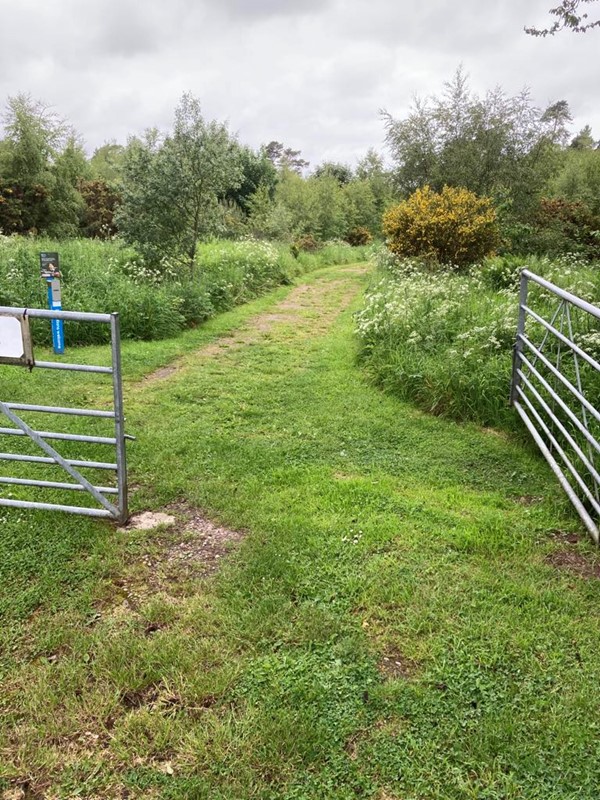 Image of RSPB Reserve Loch Spynie