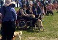 Picture of Weston Rotary Dog Day