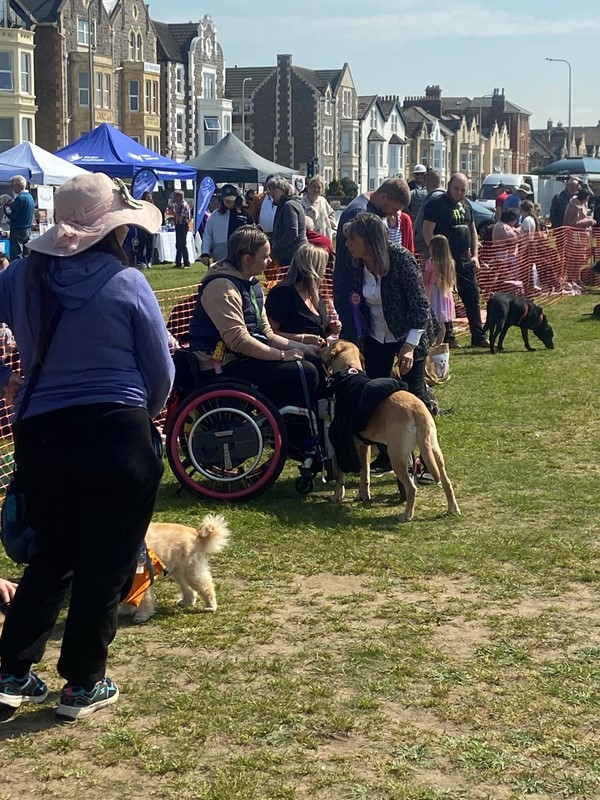 Picture of Weston Rotary Dog Day