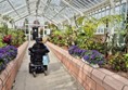 Image of a wheelchair in a large glasshouse.