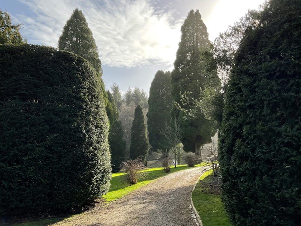 Across from the car park is the level compressed path for the gardens