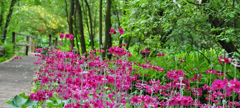 Fairhaven Woodland and Water Garden