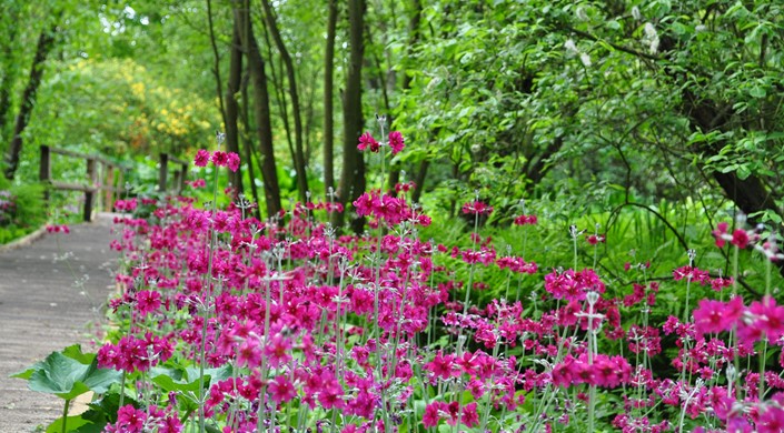 Fairhaven Woodland and Water Garden