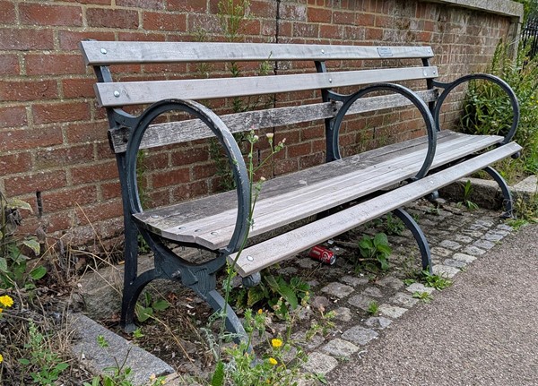 Image of bench