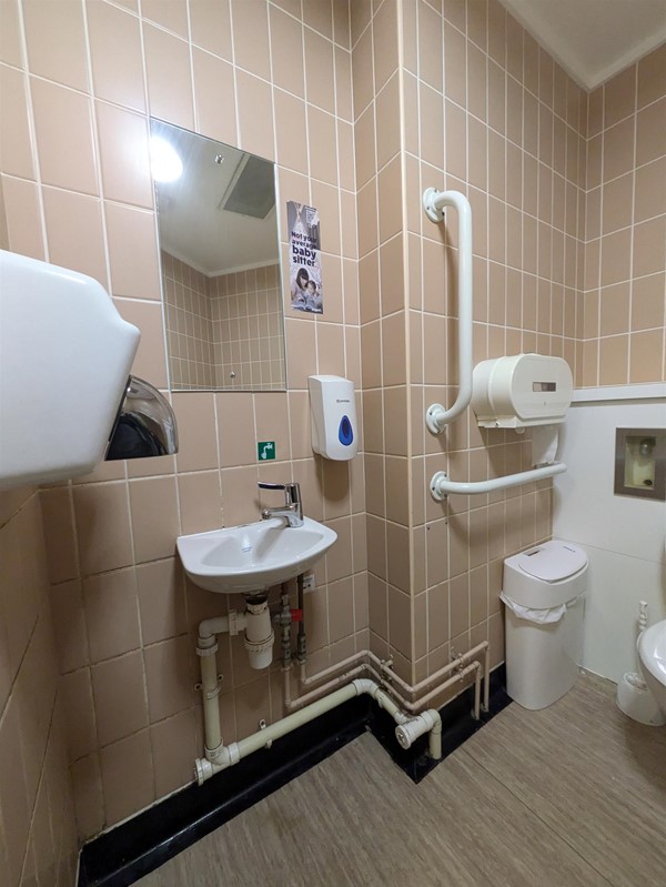 Image of sink in the accessible toilet