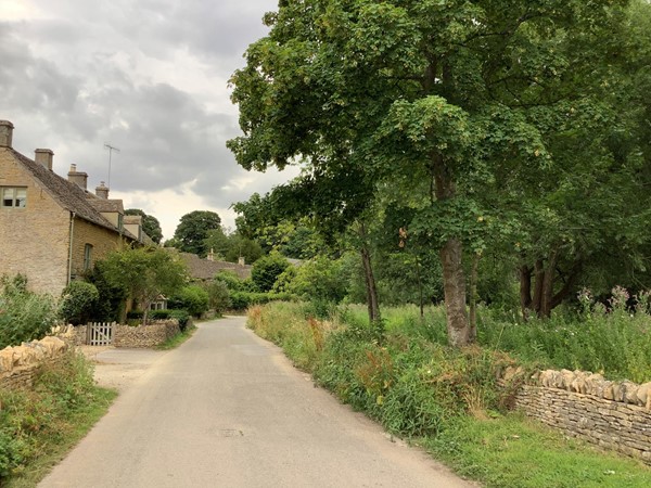 Road through village