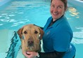 H2O Canine Therapy