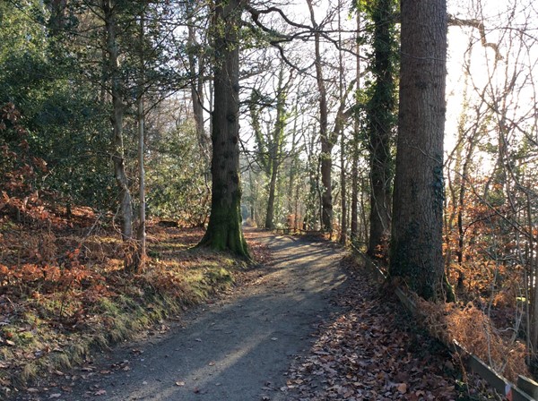 Path along lakeshore 