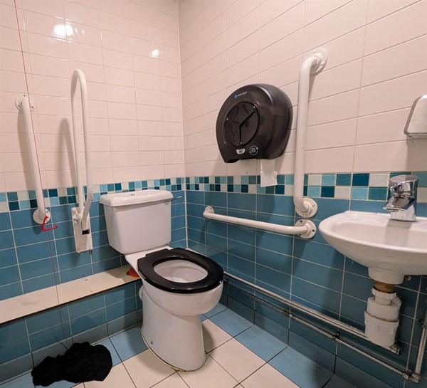 Image of small accessible toilet