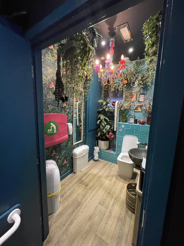Very cool accessible WC