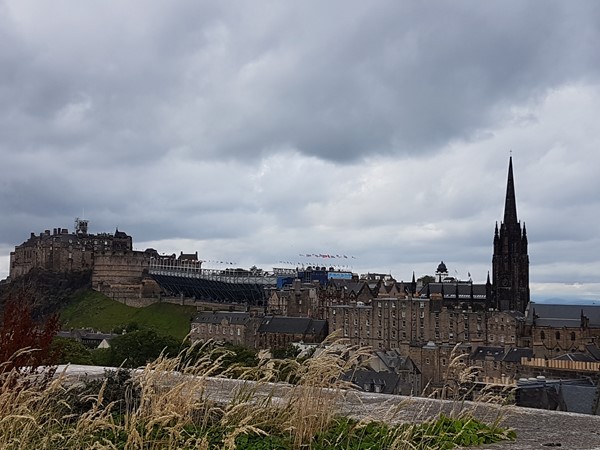 View from roof top.