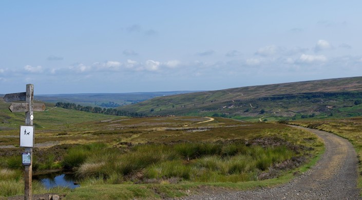 Rosedale Railway Path