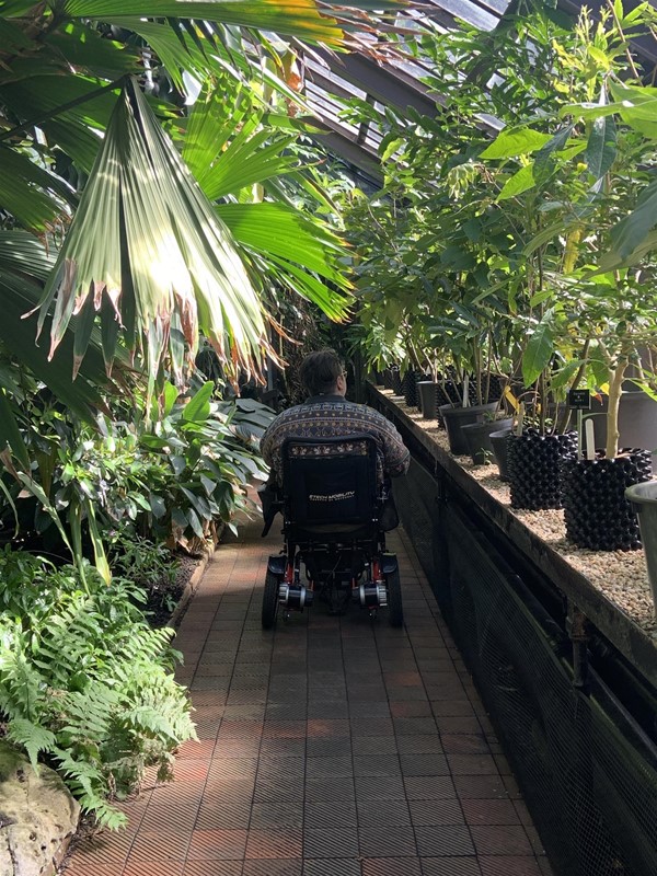 Image of a person in a power chair going down a corridor inside the greenhouse. There are plants on either side and the path is approximately 50 cm wider than the chair.