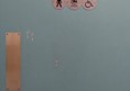 Toilet door