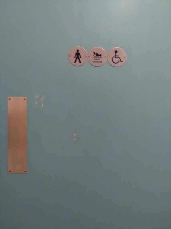 Toilet door