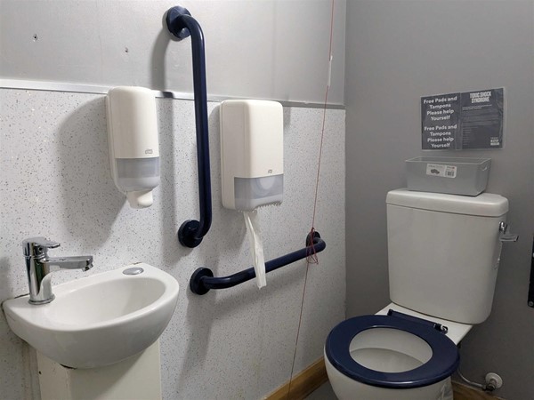 Image of  accessible toilet with contrasting seat, rails and small sink with lever-style tap