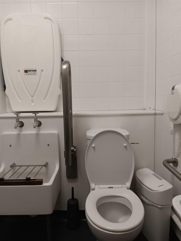 Image of a toilet and a grabrail