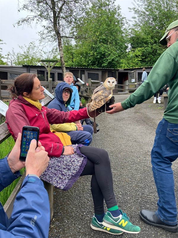 Image of a person with an owl