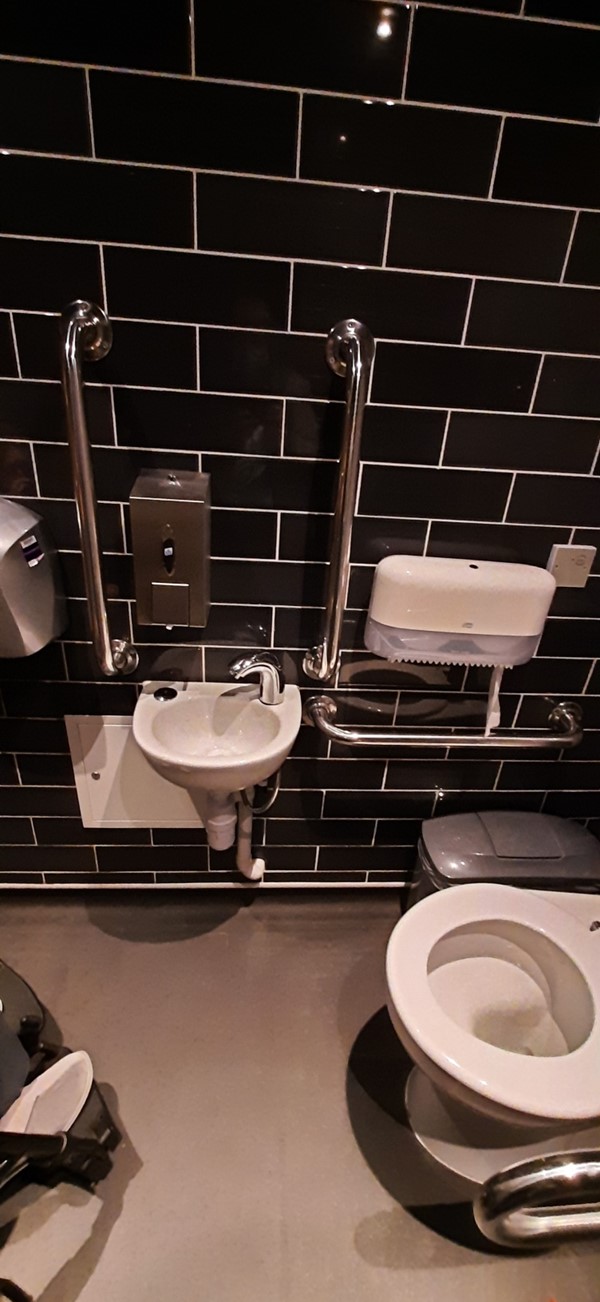 Picture of the accessible toilet
