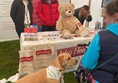 Assistance Dog at the North Somerset Show
