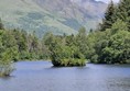 A lake amidst trees and  mountains.