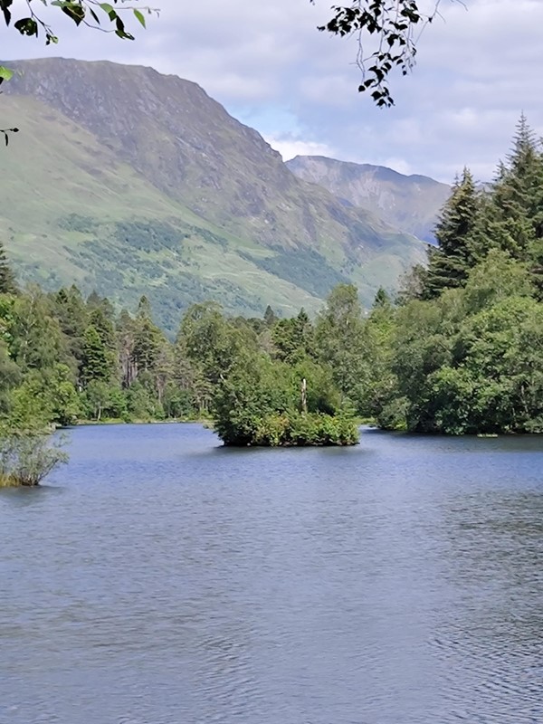 A lake amidst trees and  mountains.