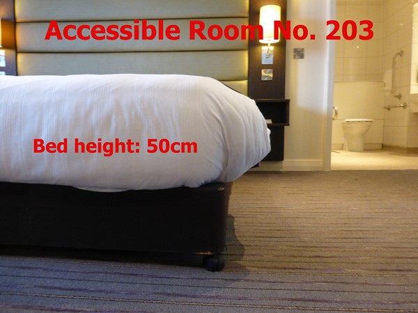 Accessible Room 203