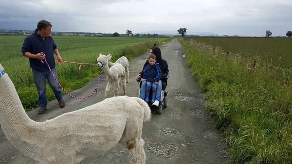 Picture of The Alpaca Trekking Centre, Thornhill