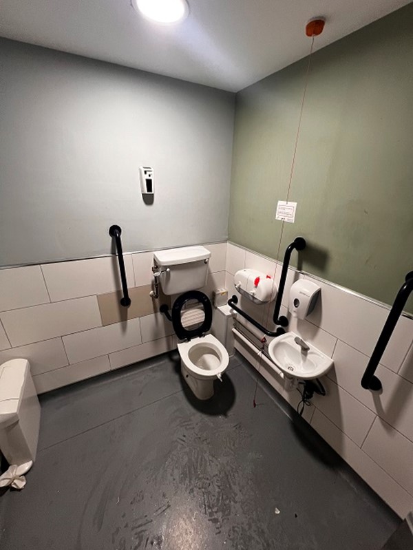 Image of an accessible toilet