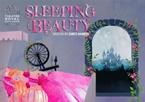 Sleeping Beauty BSL Interpreted Performance
