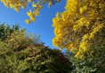 Picture of Sir Harold Hillier Gardens, Ampfield