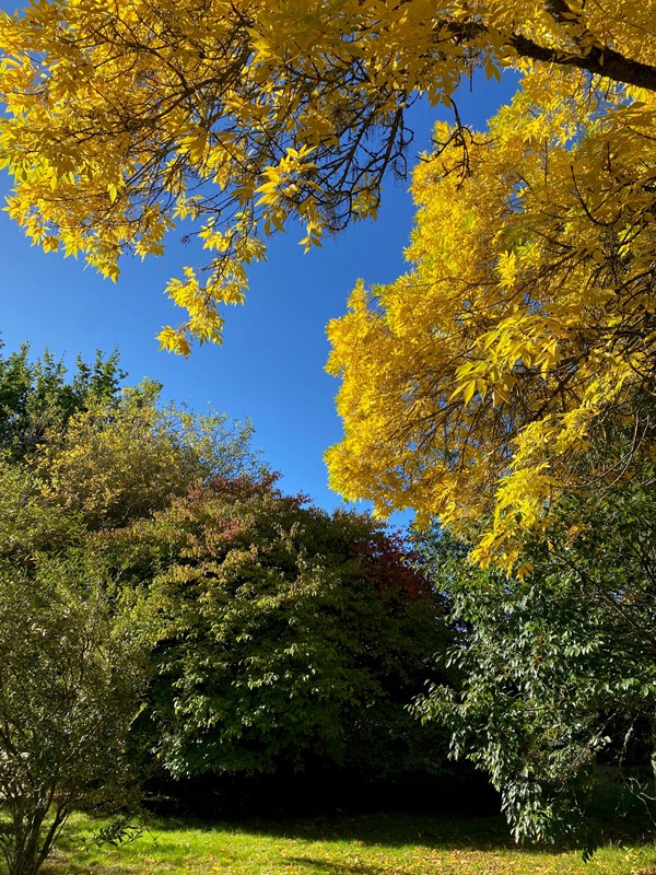 Picture of Sir Harold Hillier Gardens, Ampfield