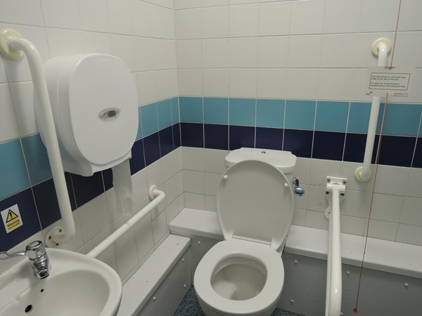 Accessible toilet