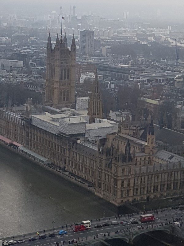 Houses of Parliament from the London Eye