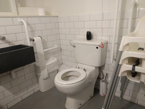 The disabled toilet as seen from the door.