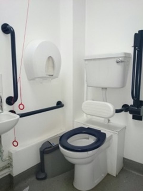 Picture of Housesteads Roman Fort Accessible Toilet