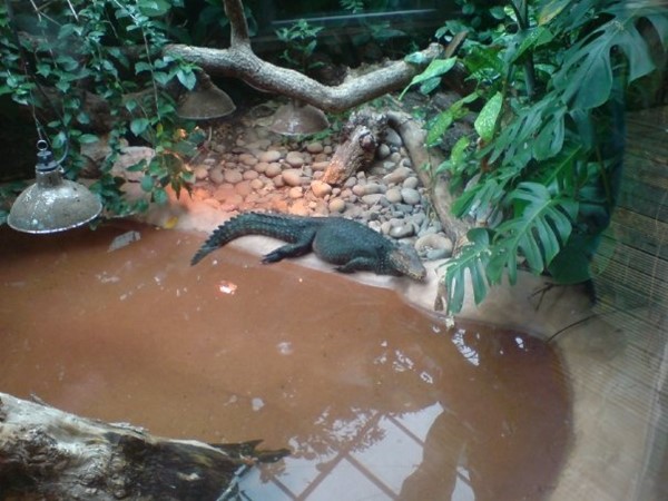 Image for review "Thoughtful and Caring Staff at Paignton Zoo"