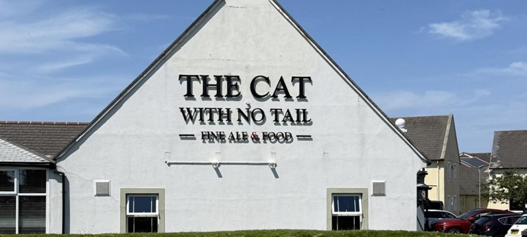 The Cat With No Tail