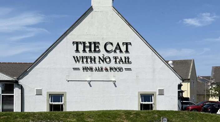 The Cat With No Tail