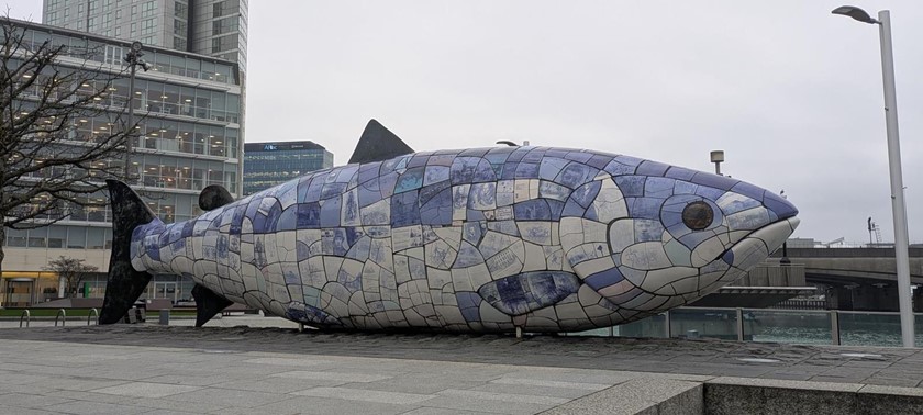 The Big Fish