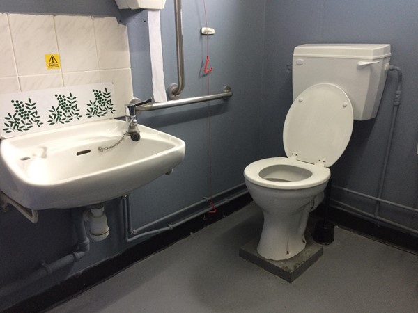 Image of an ccessible loo, there was a second pull down grab rail on the other side of the toilet which is out of the frame of the photo.