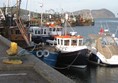 Picture of Grammer Lodge - The Harbour Campbeltown