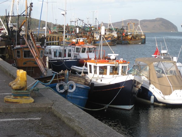 Picture of Grammer Lodge - The Harbour Campbeltown