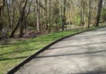 Picture of a path through trees